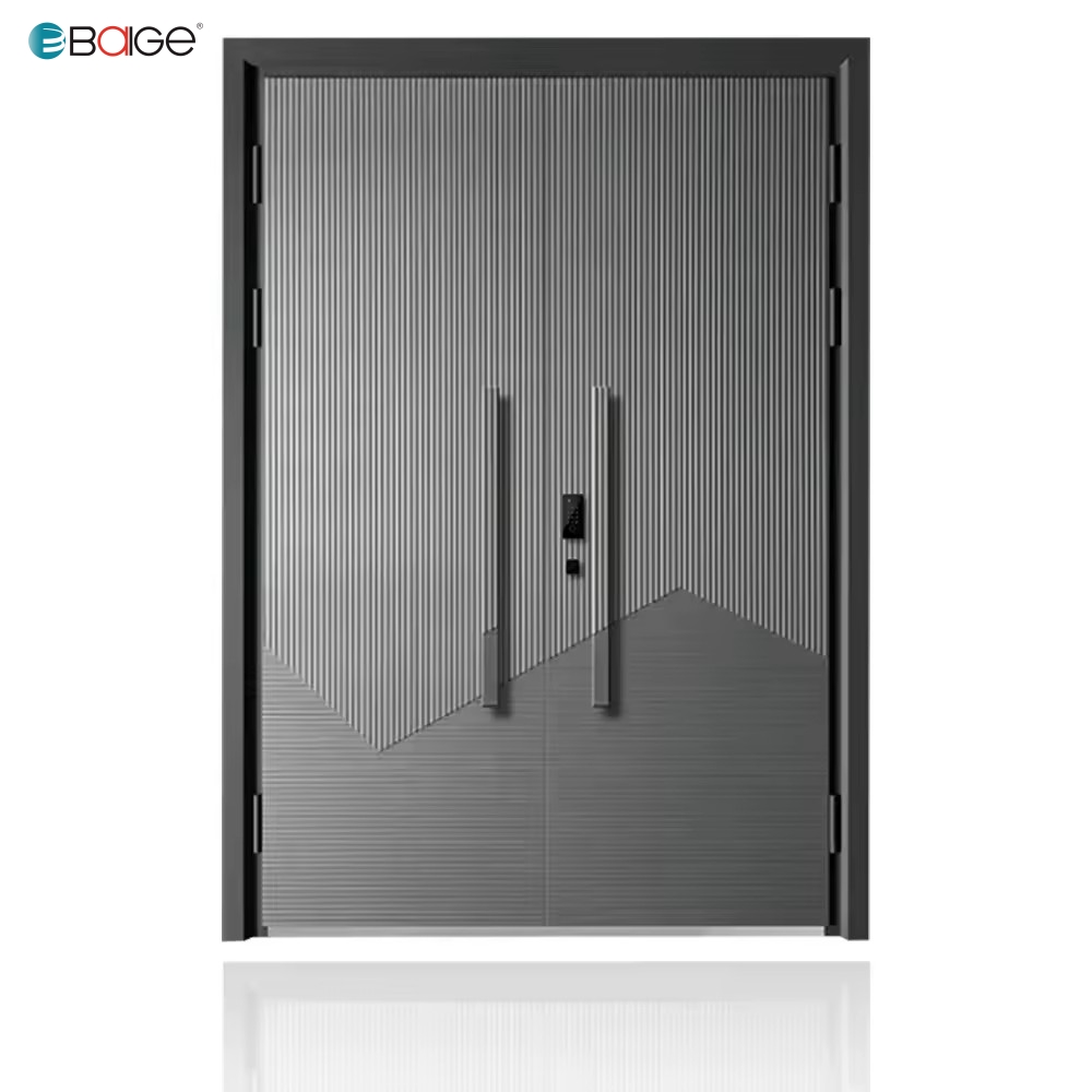 Modern Cast Aluminum Door 