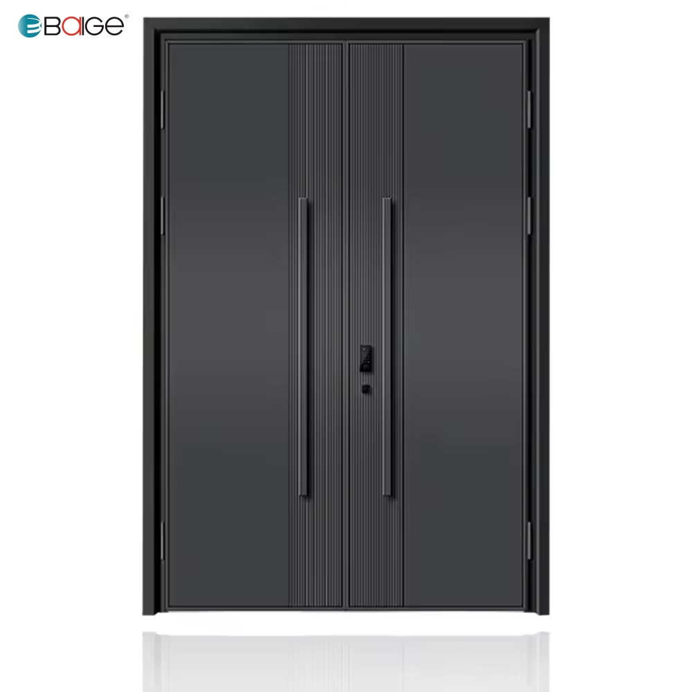 double metal doors exterior supplier